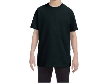 Best Dad in the World Shirt